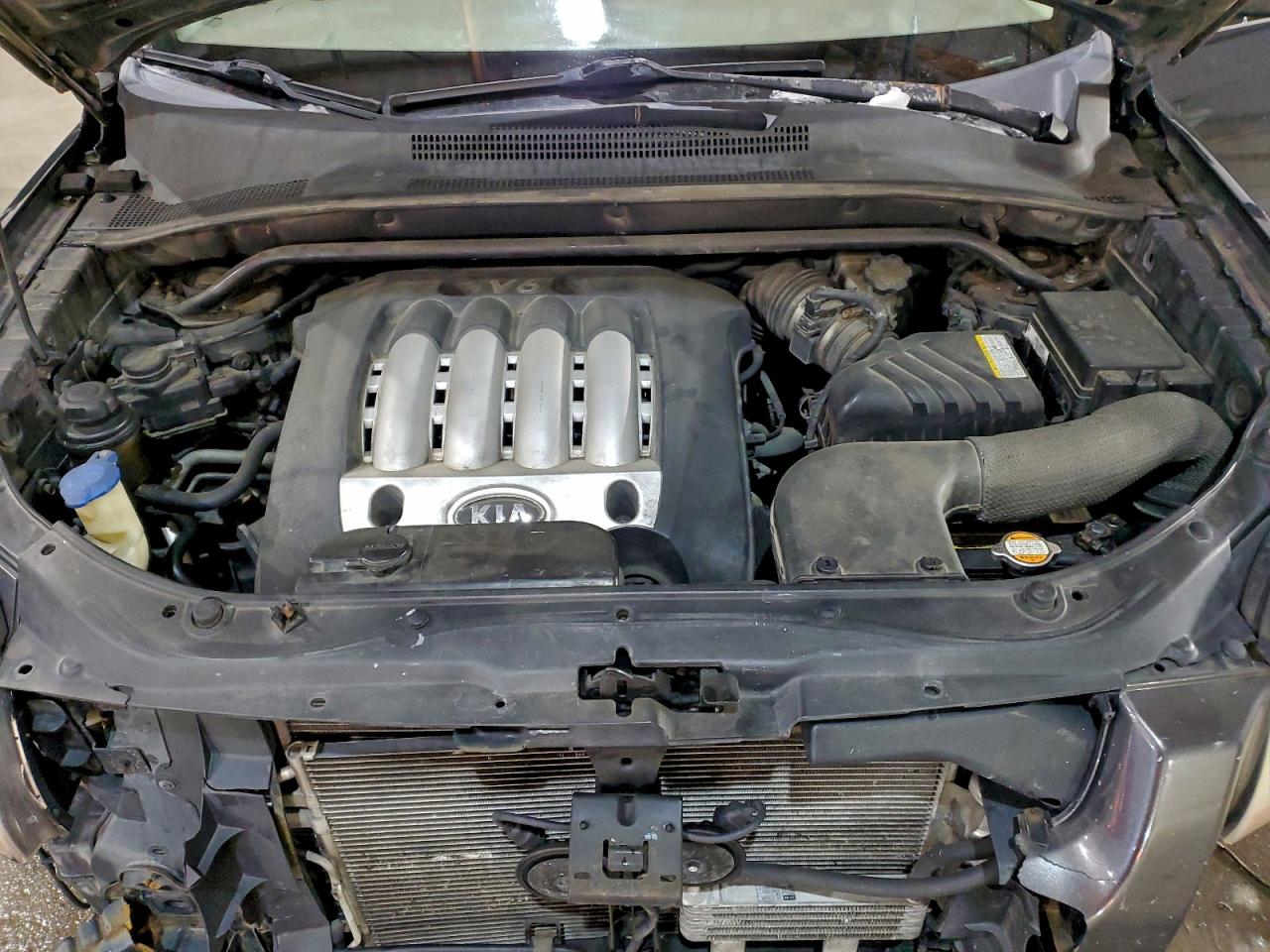 2006 Kia New Sportage VIN: KNDJE723667157960 Lot: 94961635