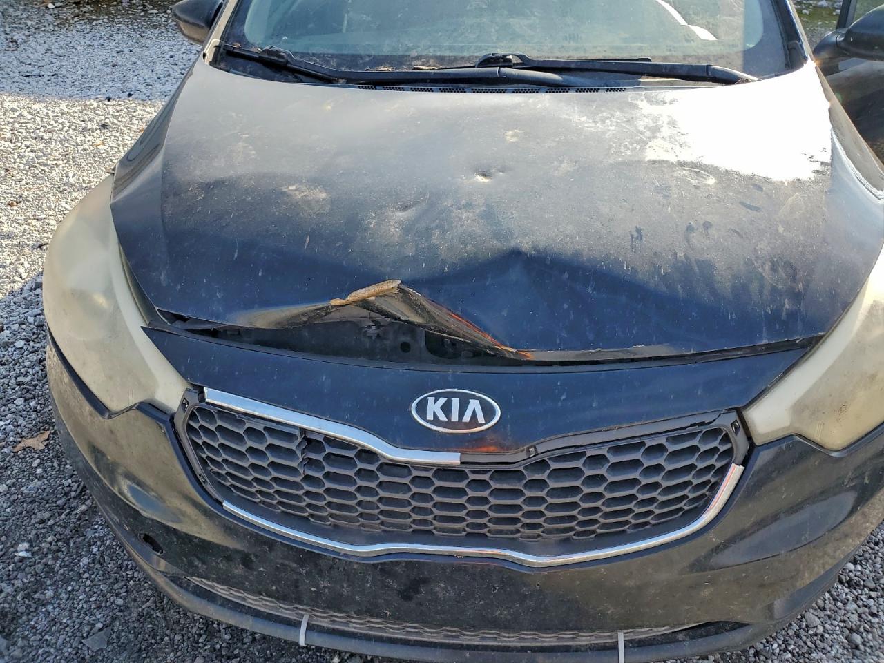 2015 Kia Forte Lx VIN: KNAFK4A62F5429034 Lot: 95095265