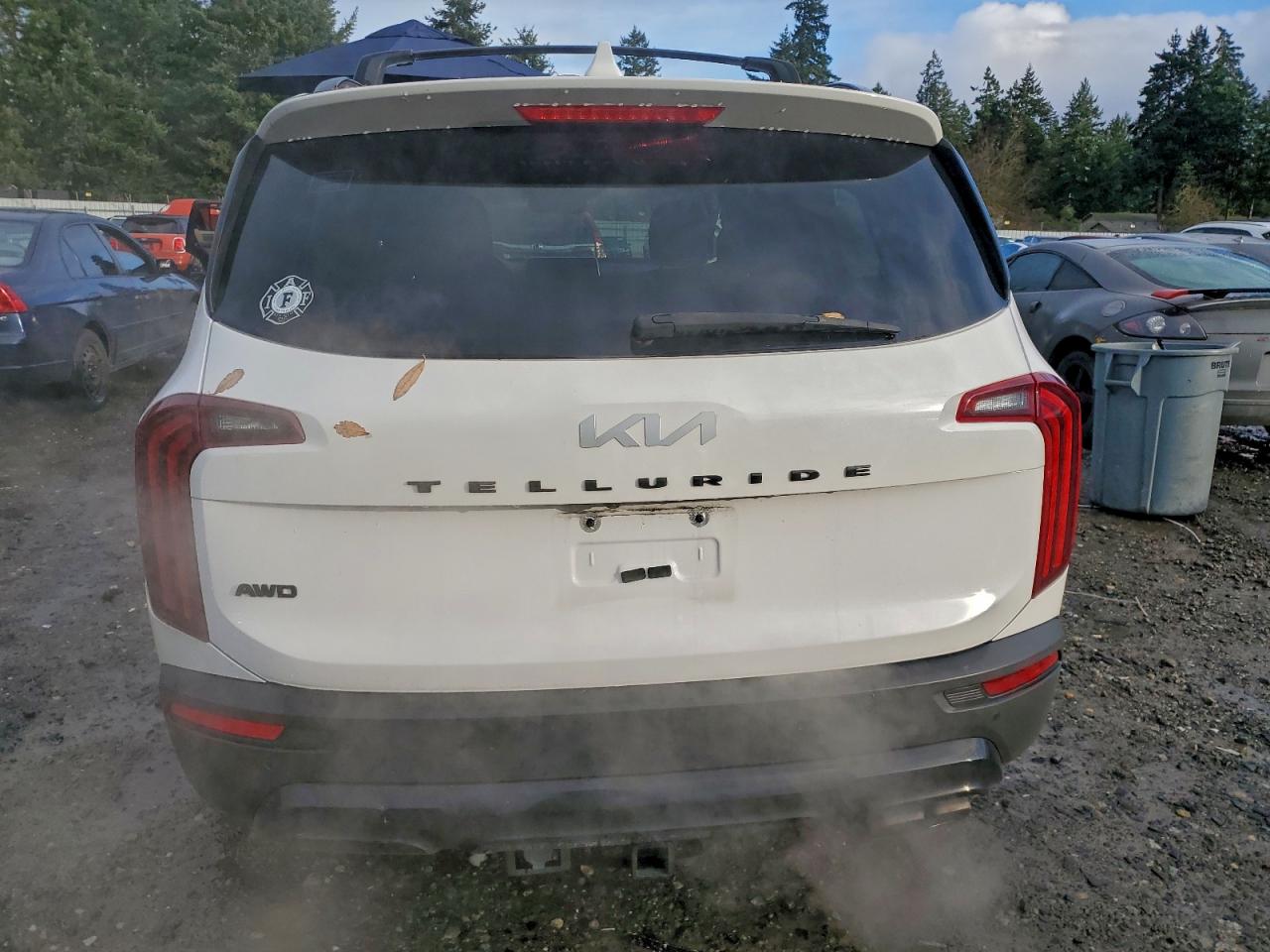 2022 Kia Telluride Sx VIN: 5XYP5DHC1NG272452 Lot: 96786205