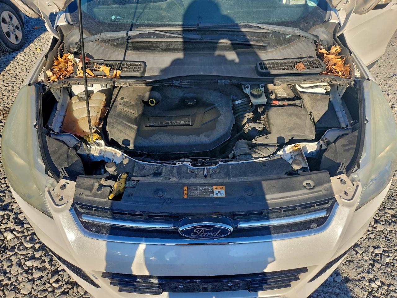 2013 Ford Escape Sel VIN: 1FMCU0H96DUC33587 Lot: 96414665