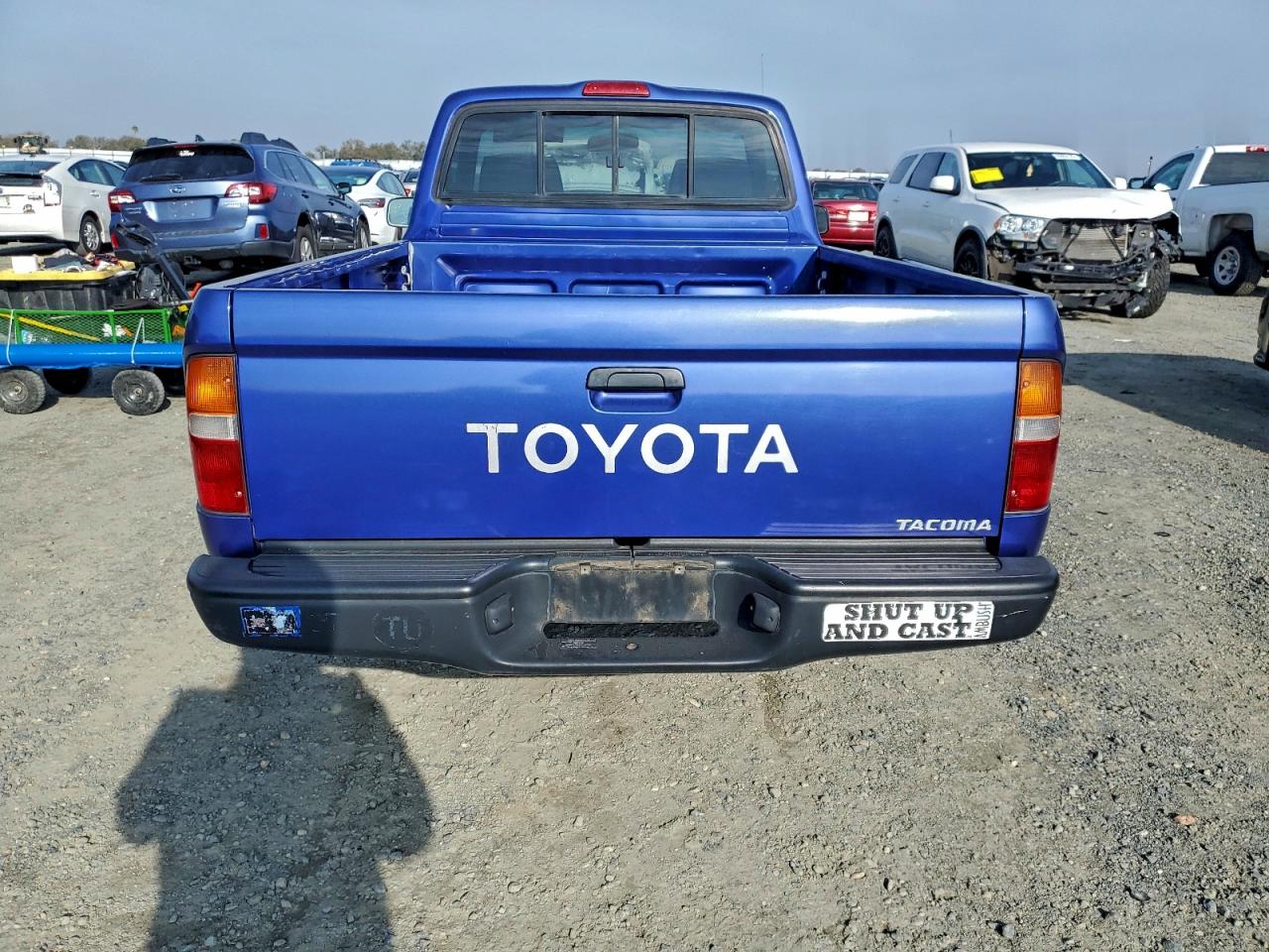 1996 Toyota Tacoma VIN: 4TANL42NXTZ113298 Lot: 94938055