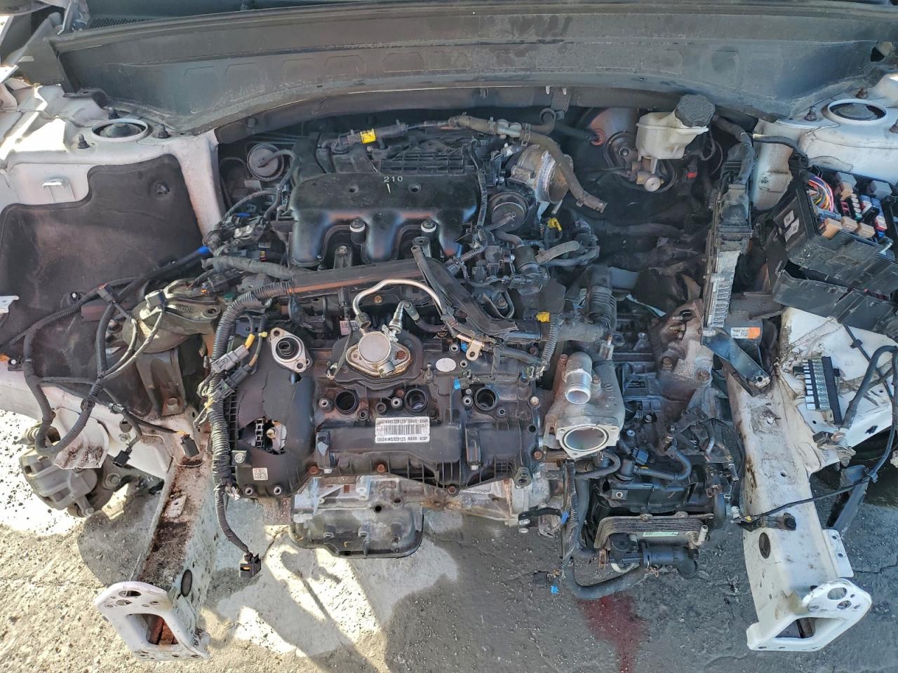 2021 Kia Telluride Sx VIN: 5XYP5DHC3MG173176 Lot: 95023135