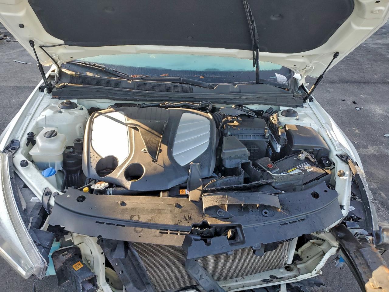 2016 Kia Cadenza Luxury VIN: KNALN4D70G5221122 Lot: 95317805