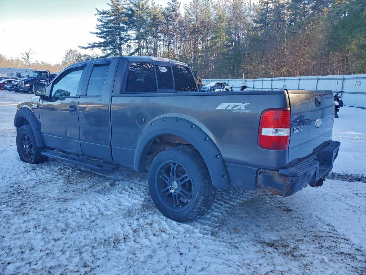 2006 Ford F150 VIN: 1FTRX14W36FA29389 Lot: 96894595