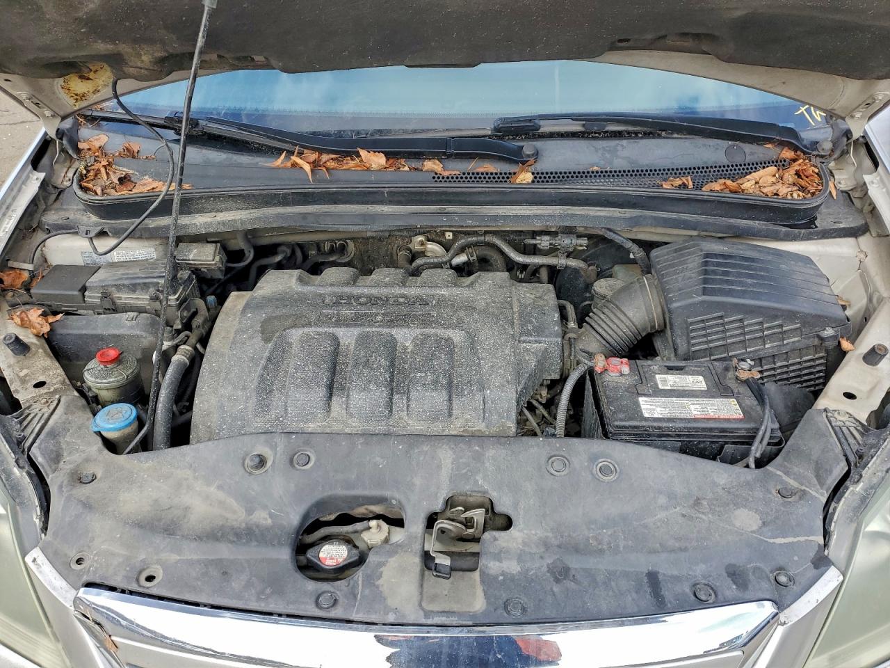 2006 Honda Odyssey Ex VIN: 5FNRL384X6B411469 Lot: 96219845