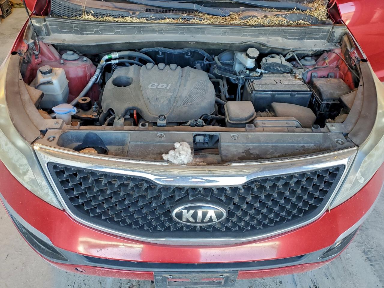 2015 Kia Sportage Lx VIN: KNDPB3AC0F7739095 Lot: 96334125