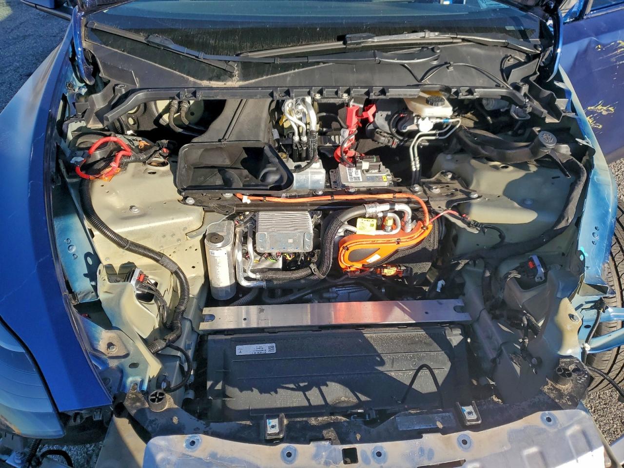 2023 Tesla Model Y VIN: 7SAYGDEE1PF895636 Lot: 94427855