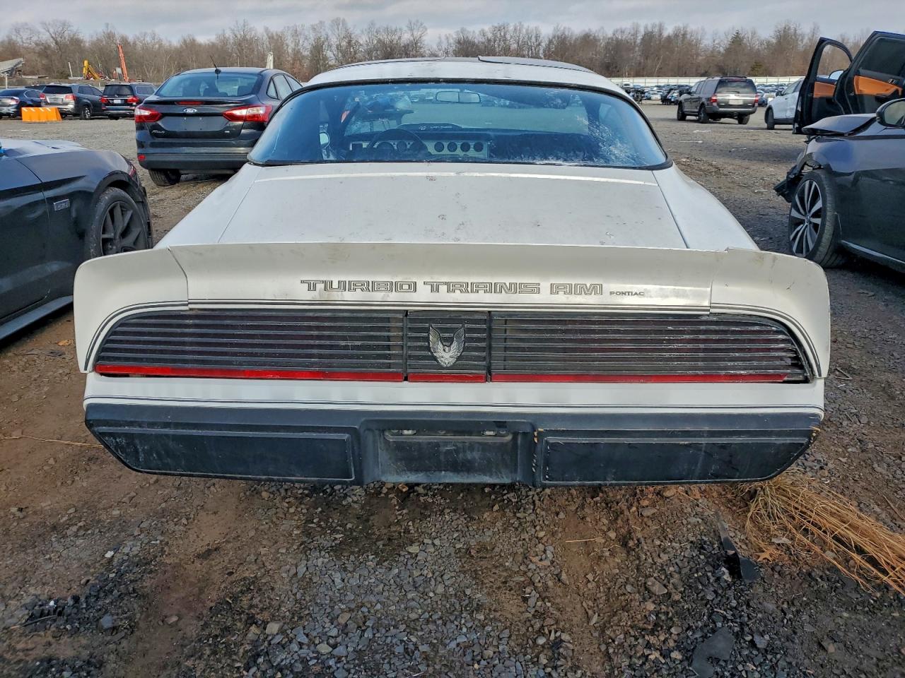 1981 Pontiac Firebird Se VIN: 1G2AX87T4BN113880 Lot: 96248935