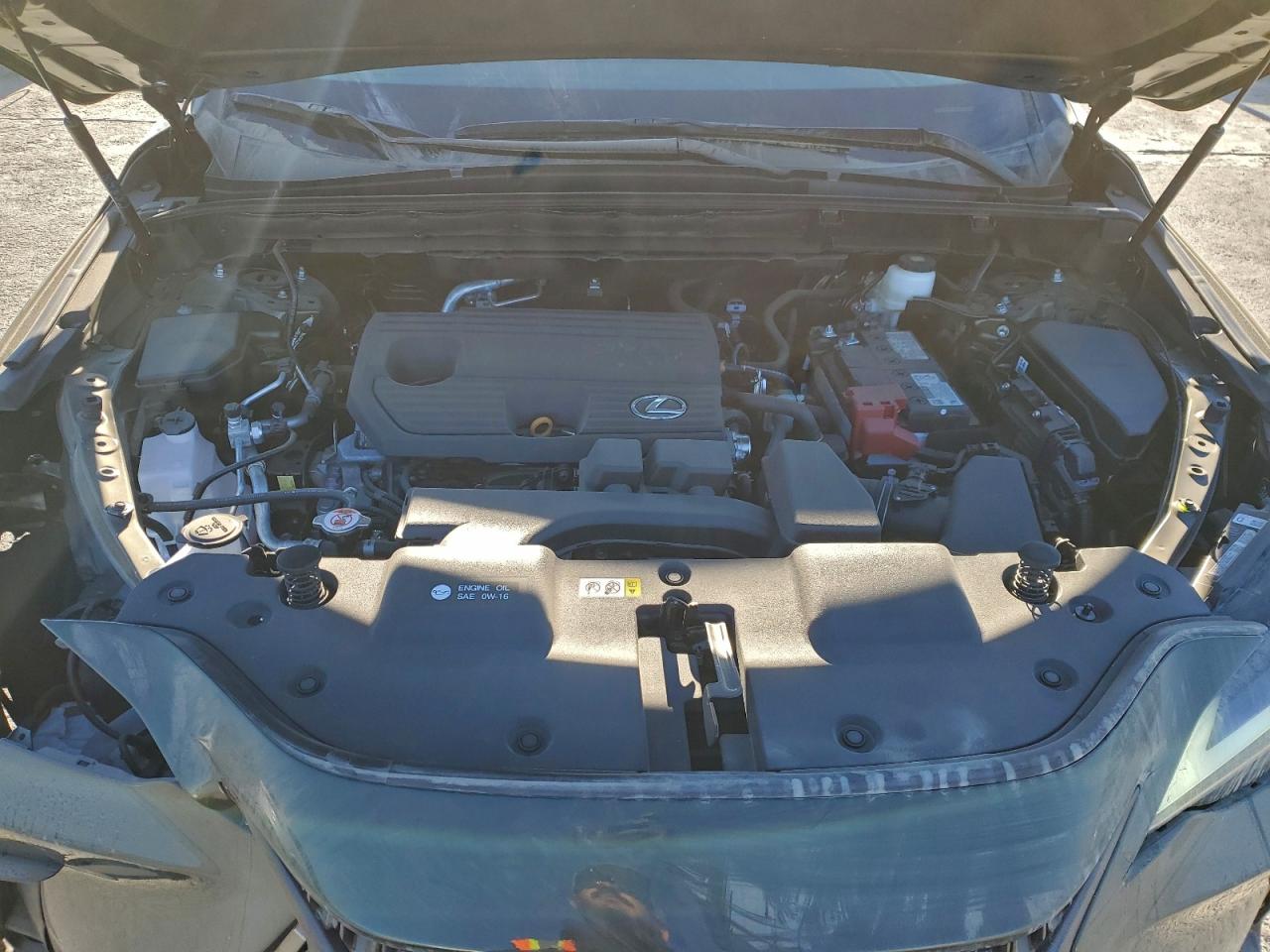 2024 Lexus Nx 250 Base VIN: 2T2ADCAZ1RC012020 Lot: 97404565