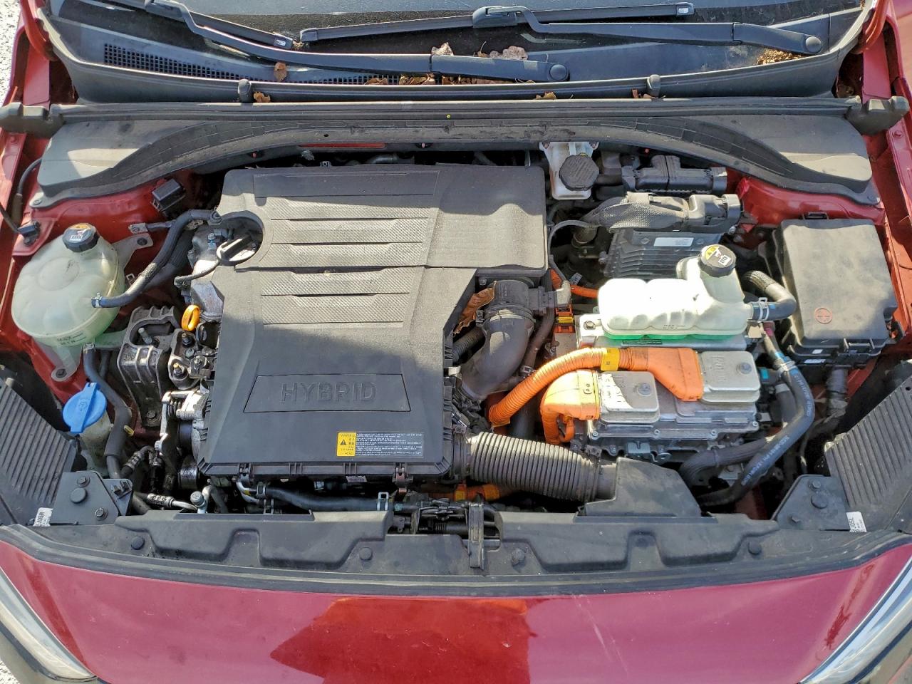 2019 Hyundai Ioniq Blue VIN: KMHC65LC7KU171155 Lot: 96617355