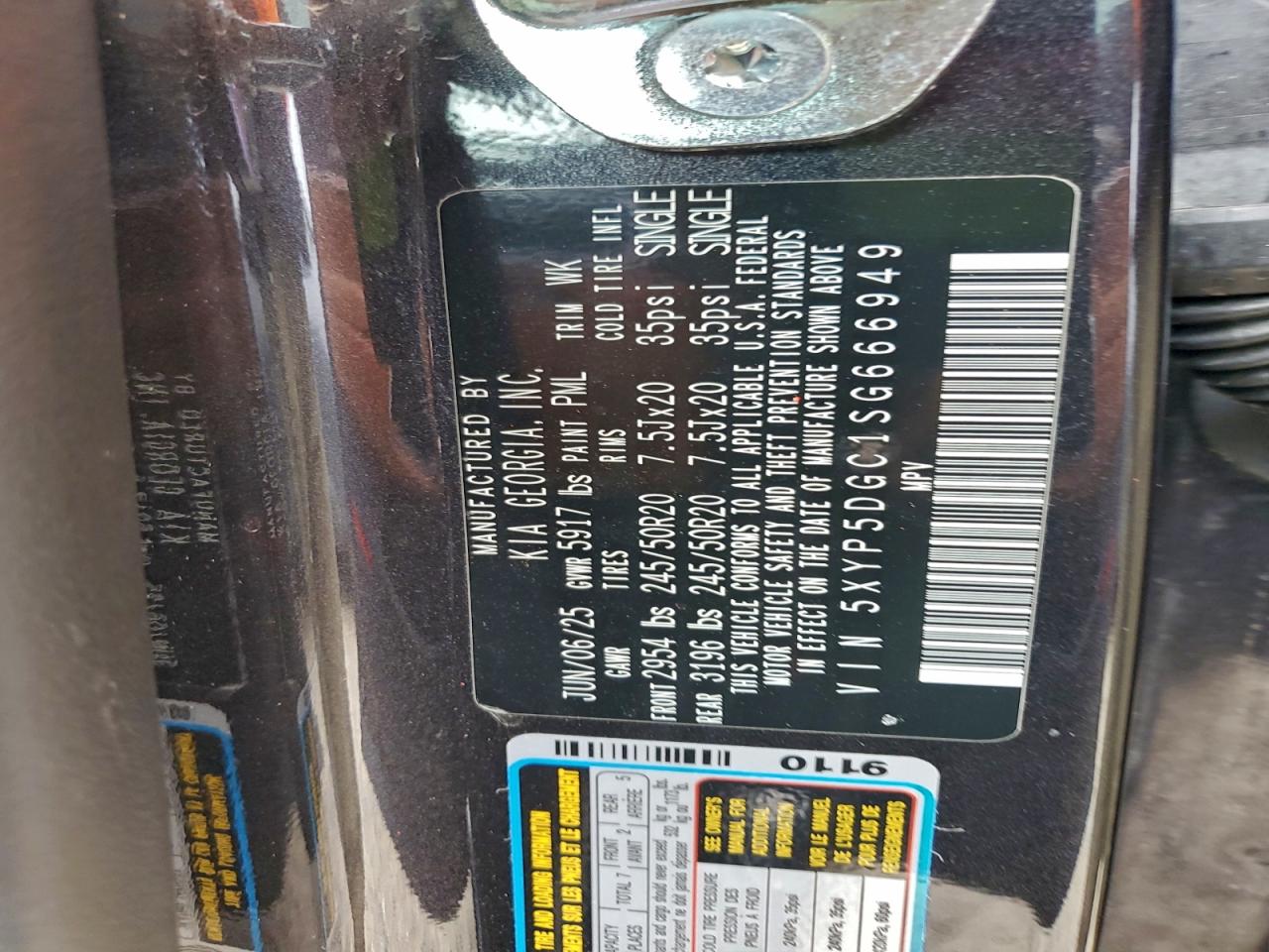 2025 Kia Telluride Sx VIN: 5XYP5DGC1SG666949 Lot: 96313955