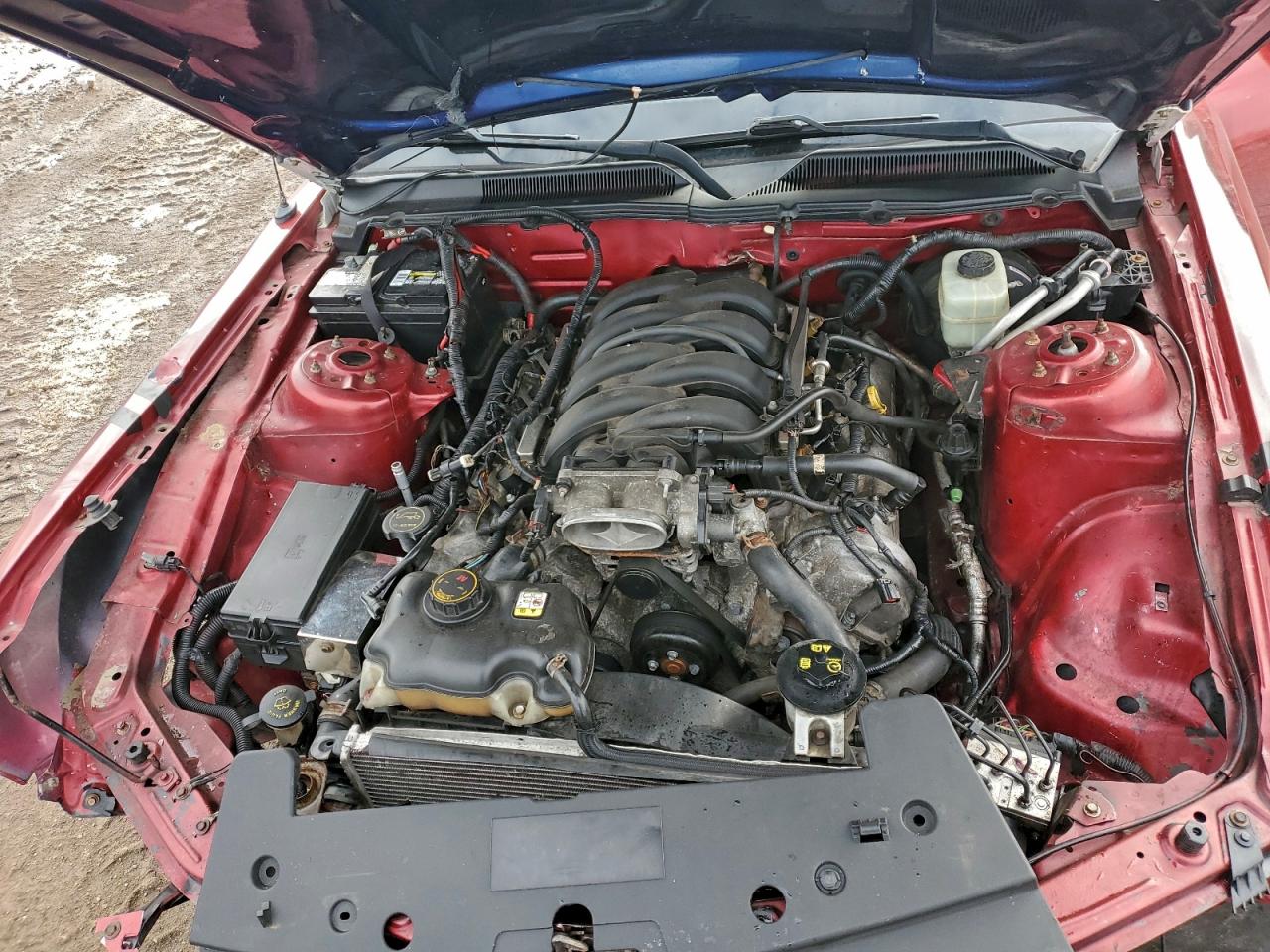 2006 Ford Mustang VIN: 1ZVFT80N465120467 Lot: 94760935