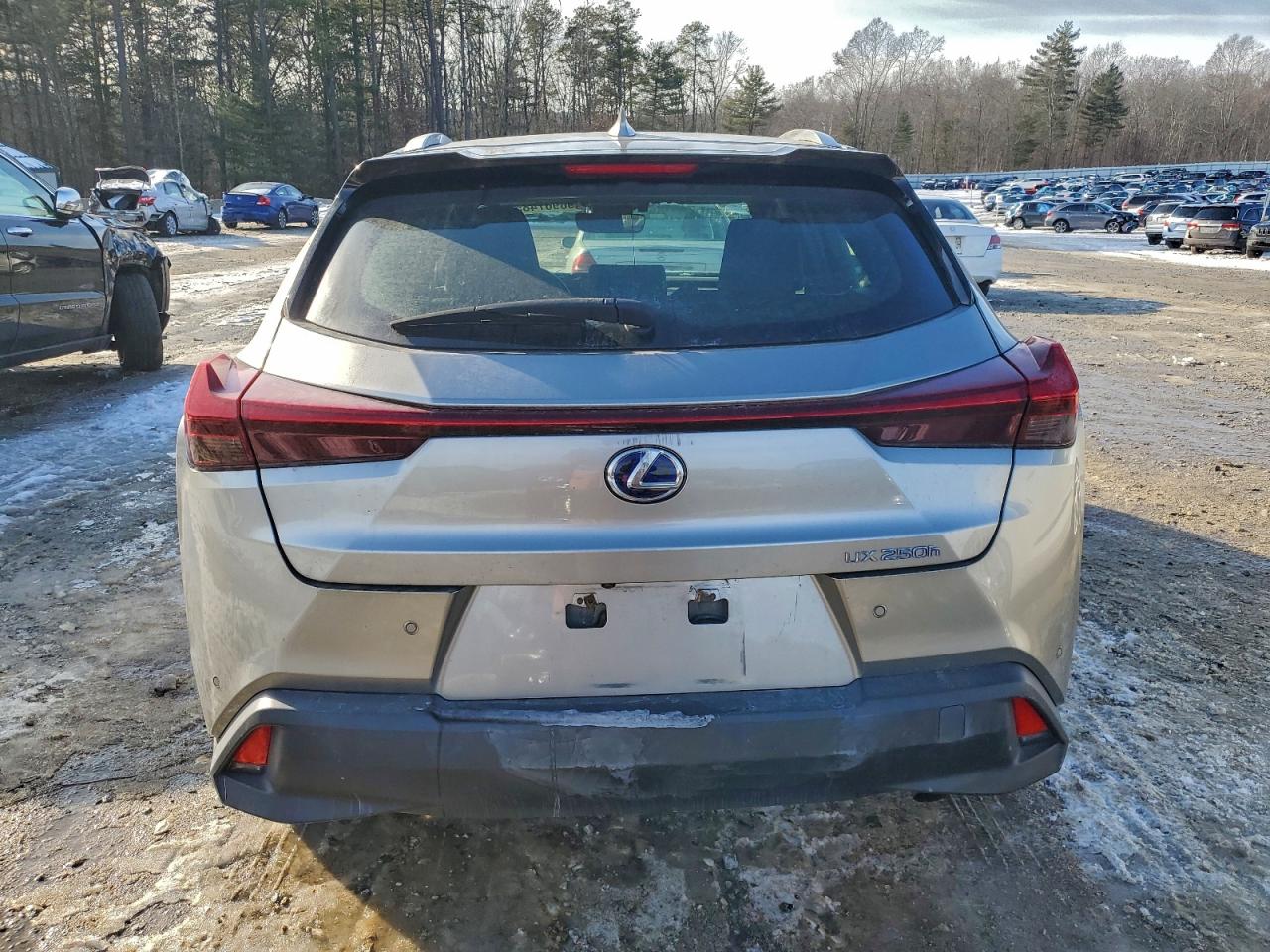2019 Lexus Ux 250H VIN: JTHU9JBH7K2008831 Lot: 96967485