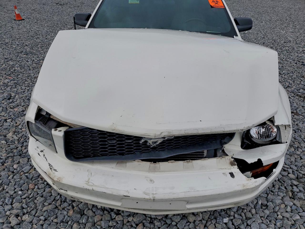 2009 Ford Mustang VIN: 1ZVHT84N195111734 Lot: 95859875