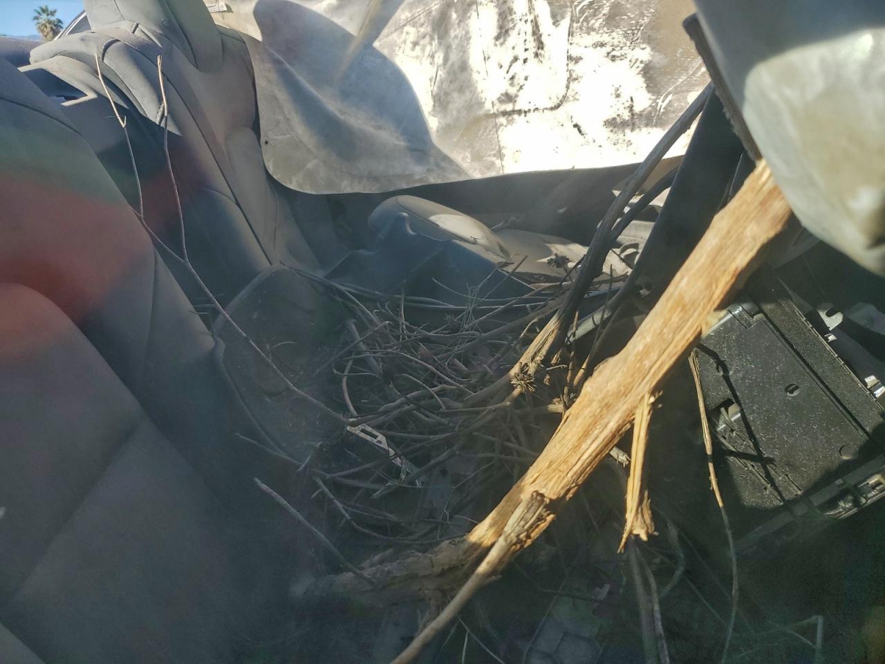 2018 Tesla Model 3 VIN: 5YJ3E1EB0JF092342 Lot: 95743835