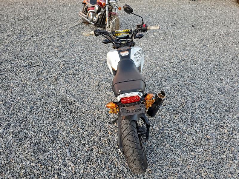 2025 HONDA GROM 125  