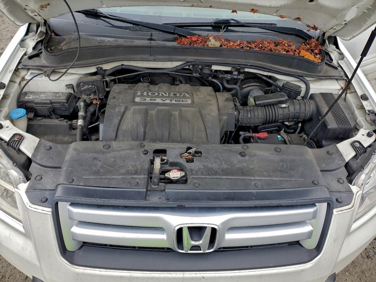 2007 Honda Pilot Exl VIN: 2HKYF18597H535171 Lot: 94978575