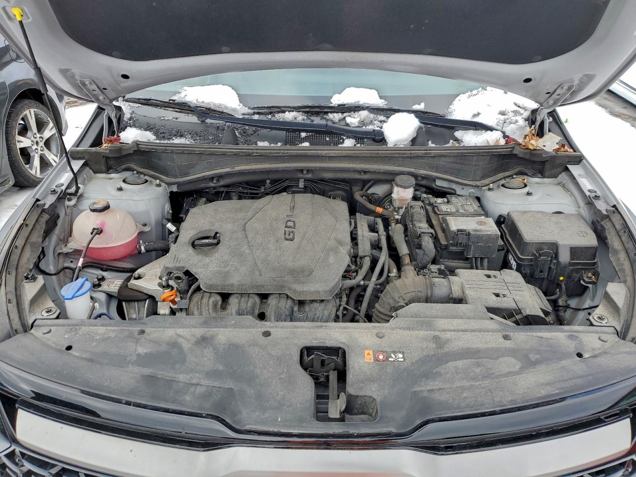 2024 Kia Sportage X Line VIN: 5XYK6CDF3RG151039 Lot: 96204865