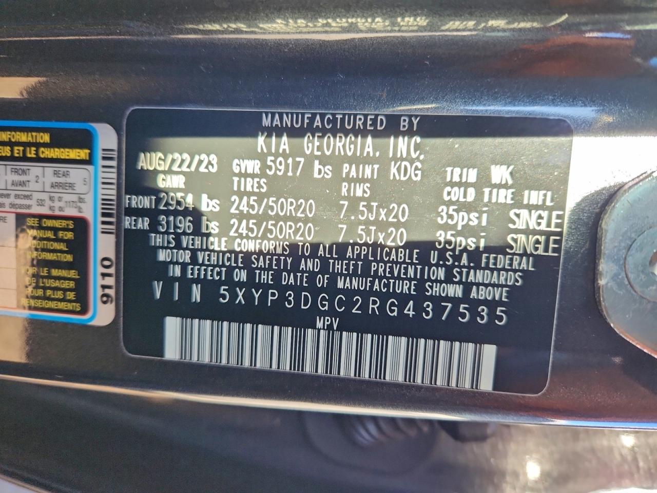 2024 Kia Telluride Ex VIN: 5XYP3DGC2RG437535 Lot: 94389645