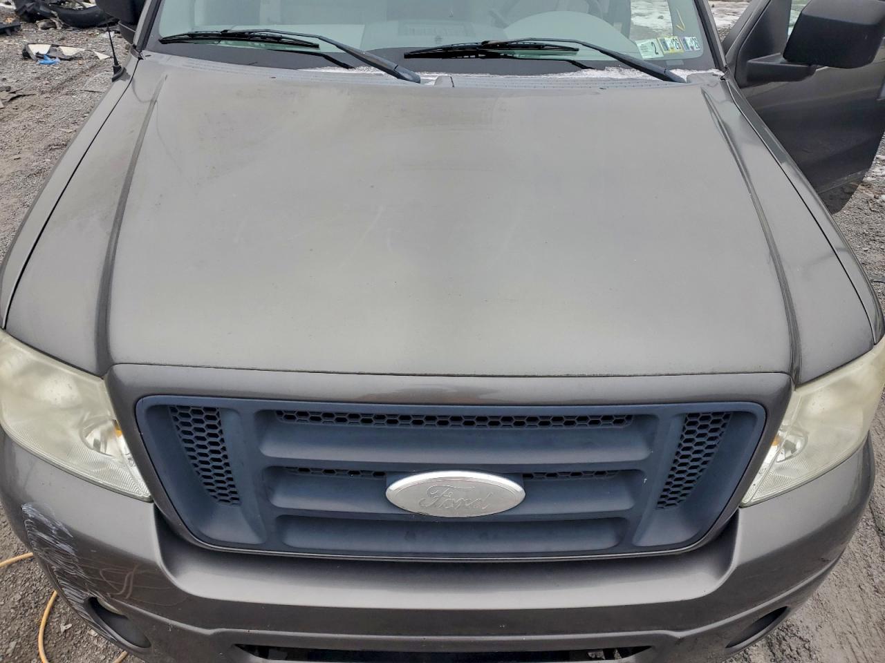 2006 Ford F150 VIN: 1FTRX14W66NA24273 Lot: 95076365