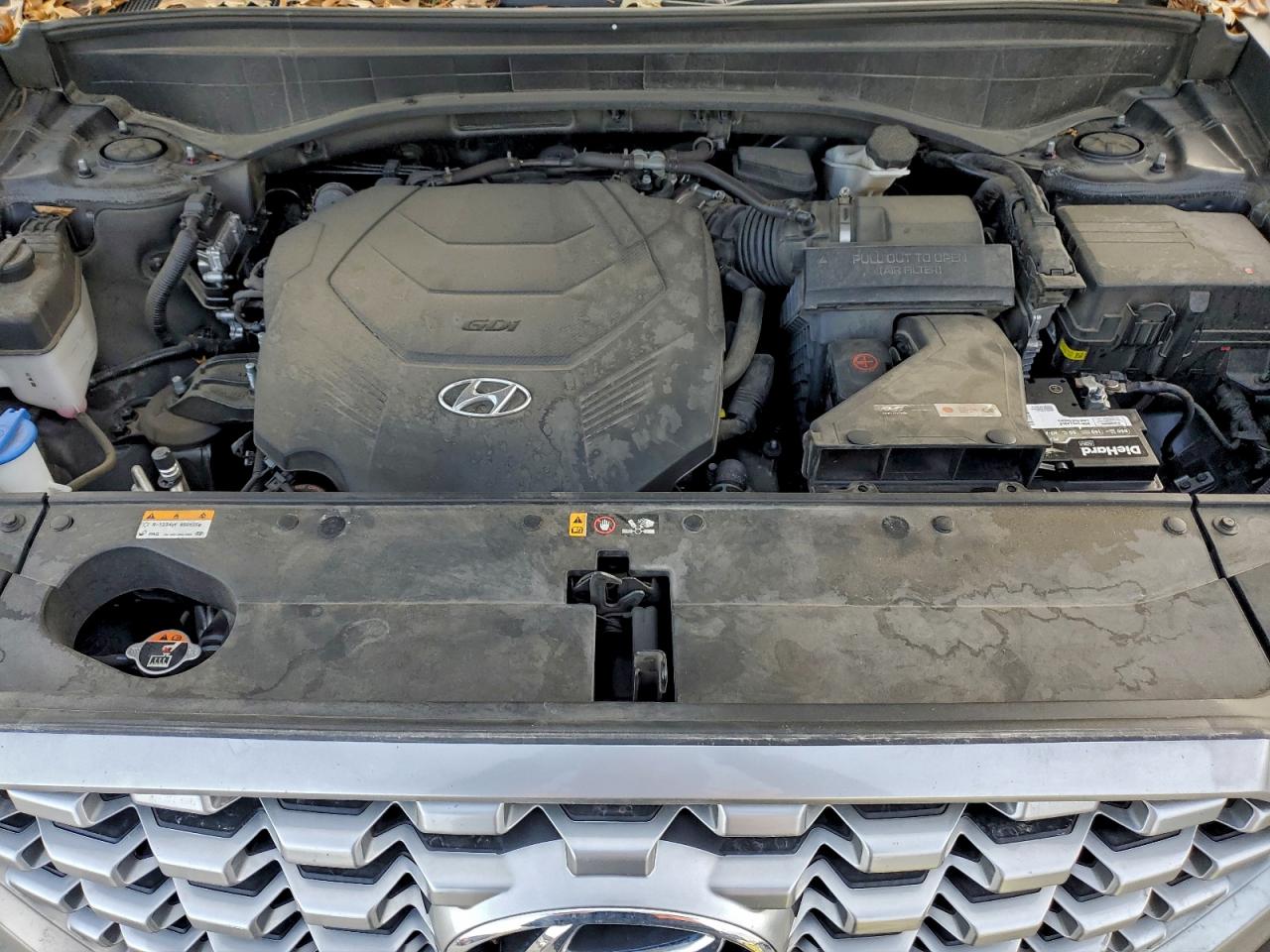 2021 Hyundai Palisade Sel VIN: KM8R44HEXMU206262 Lot: 95087135