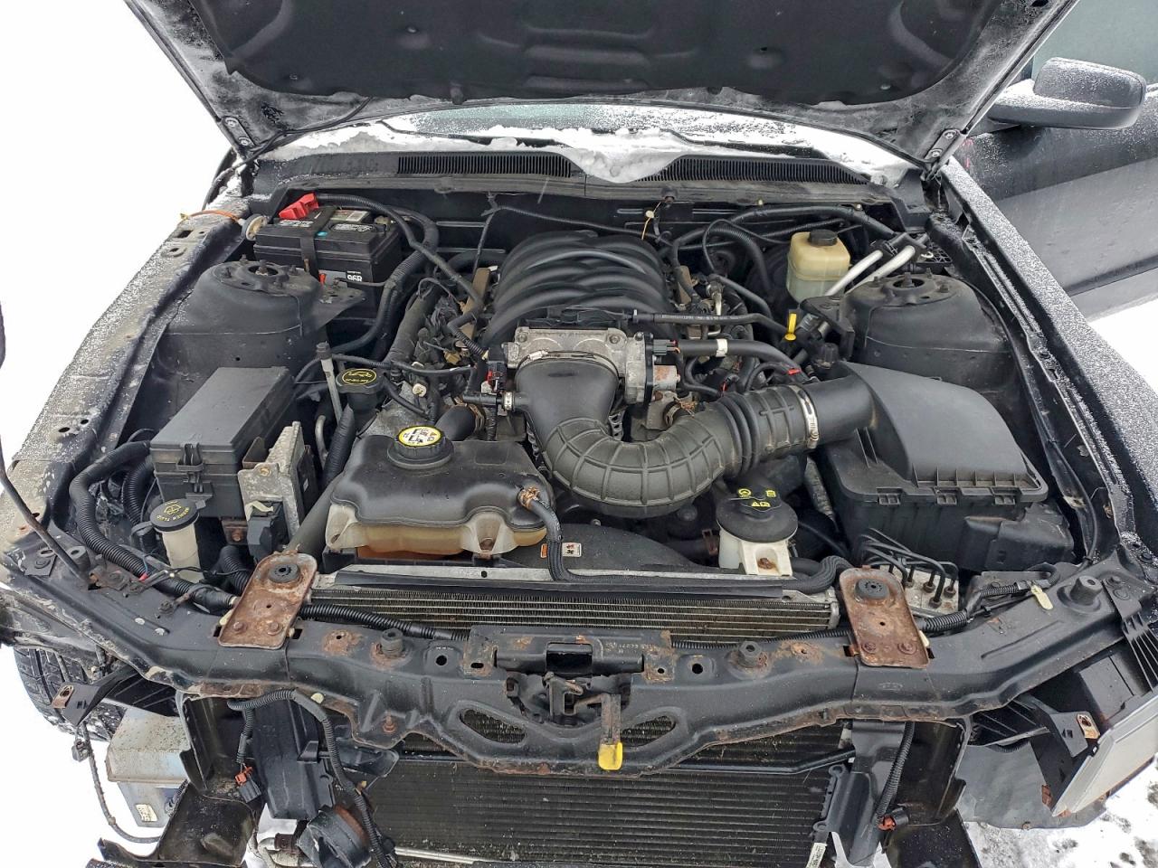 2005 Ford Mustang Gt VIN: 1ZVFT85H055235990 Lot: 94170475