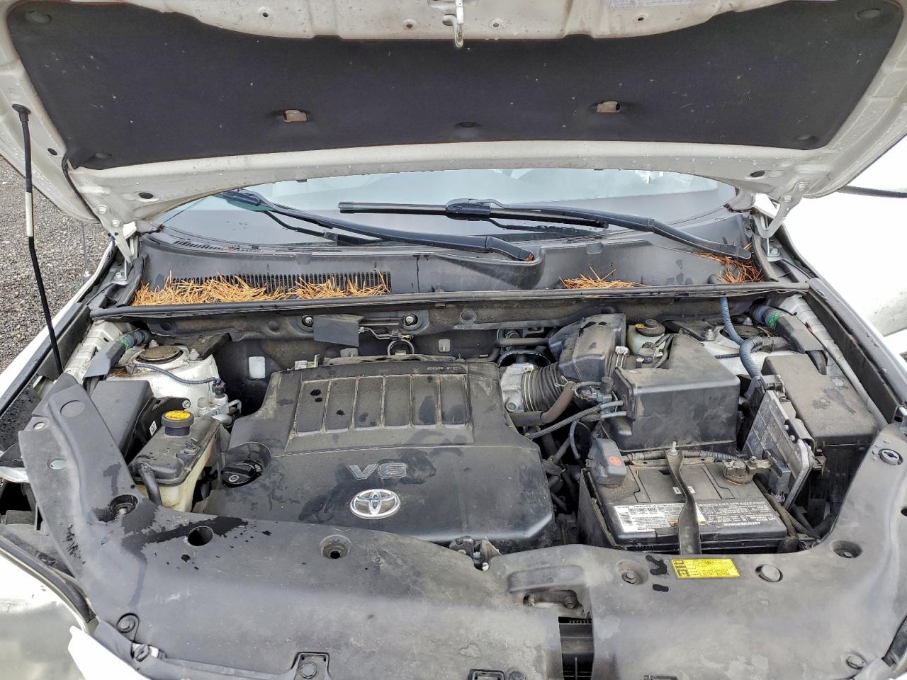 2008 Toyota Rav4 Limited VIN: JTMBK31V285062500 Lot: 94806655