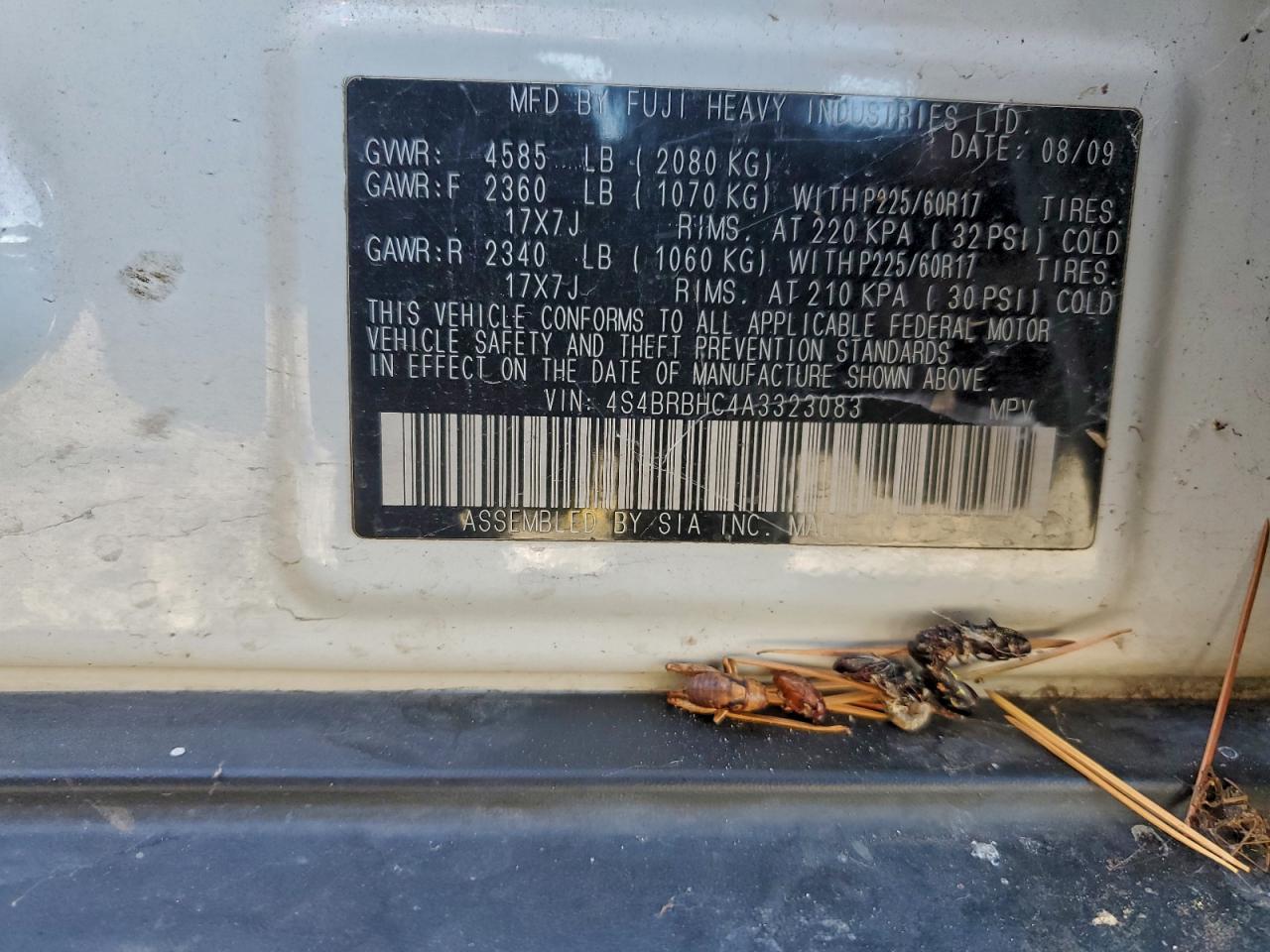 2010 Subaru Outback 2.5I Premium VIN: 4S4BRBHC4A3323083 Lot: 94983415