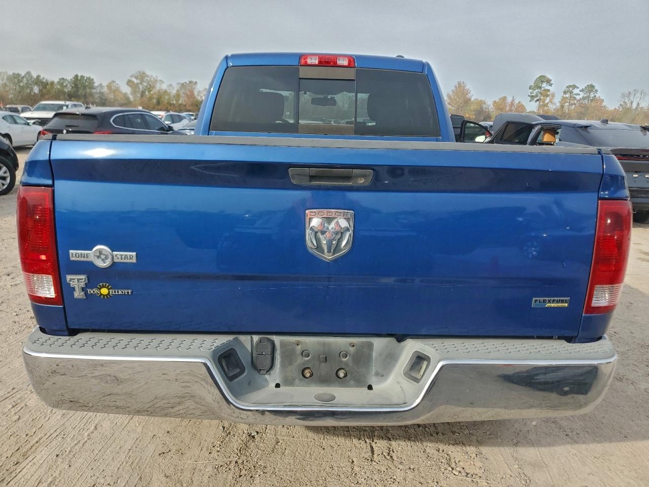 2010 Dodge Ram 1500 VIN: 1D7RB1GP0AS193403 Lot: 96171715