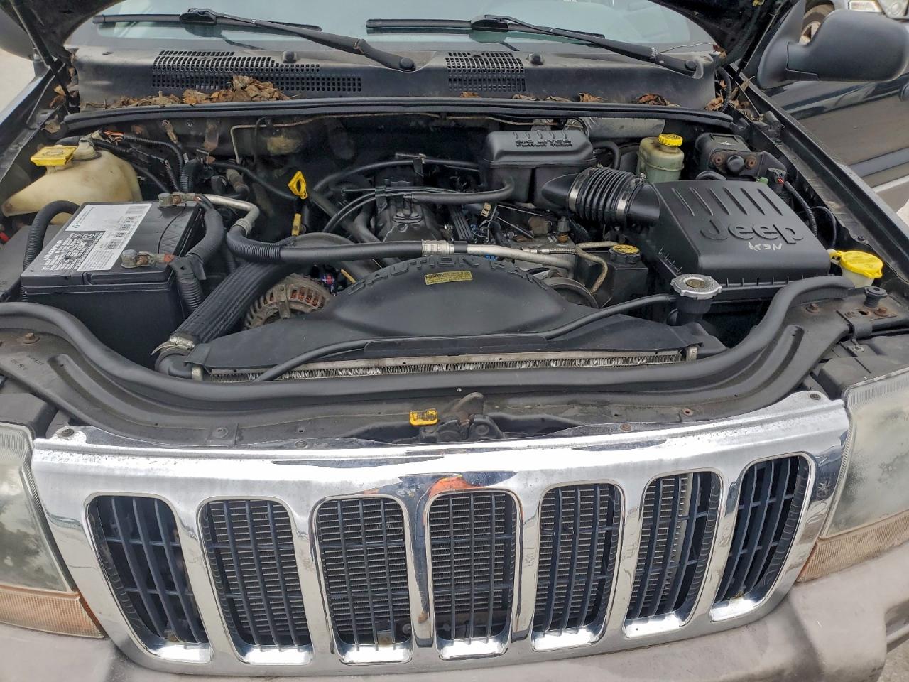 2000 Jeep Grand Cherokee Laredo VIN: 1J4GW48S2YC185411 Lot: 95943895