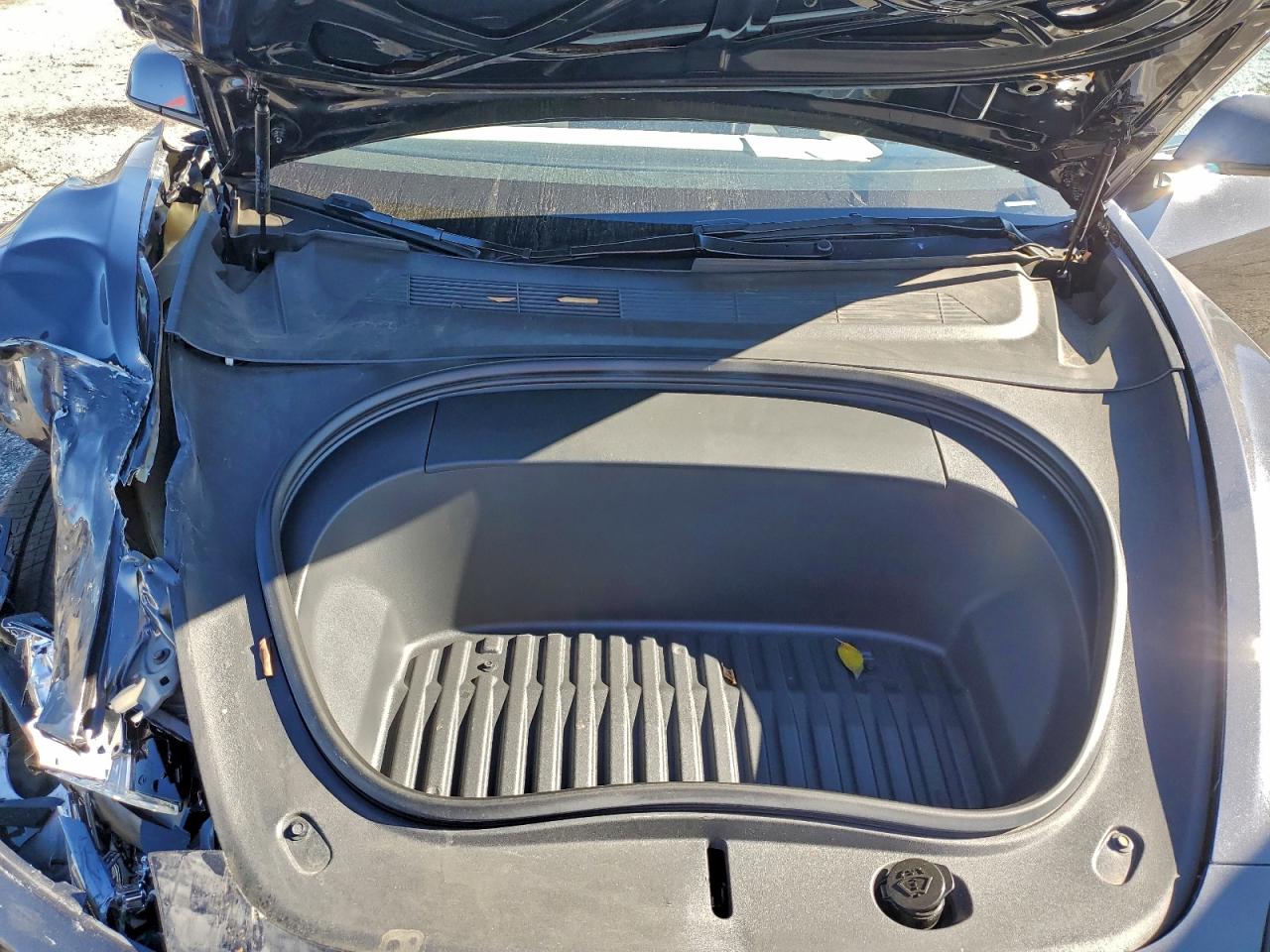 2024 Tesla Model 3 VIN: 5YJ3E1EA8RF773609 Lot: 96768155