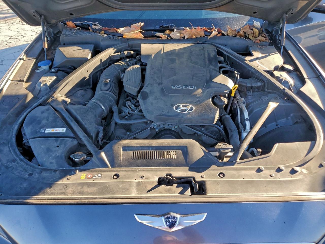 2015 Hyundai Genesis 3.8L VIN: KMHGN4JE5FU057048 Lot: 97163585