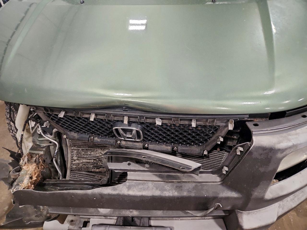 2004 Honda Element Ex VIN: 5J6YH28624L036920 Lot: 97740635