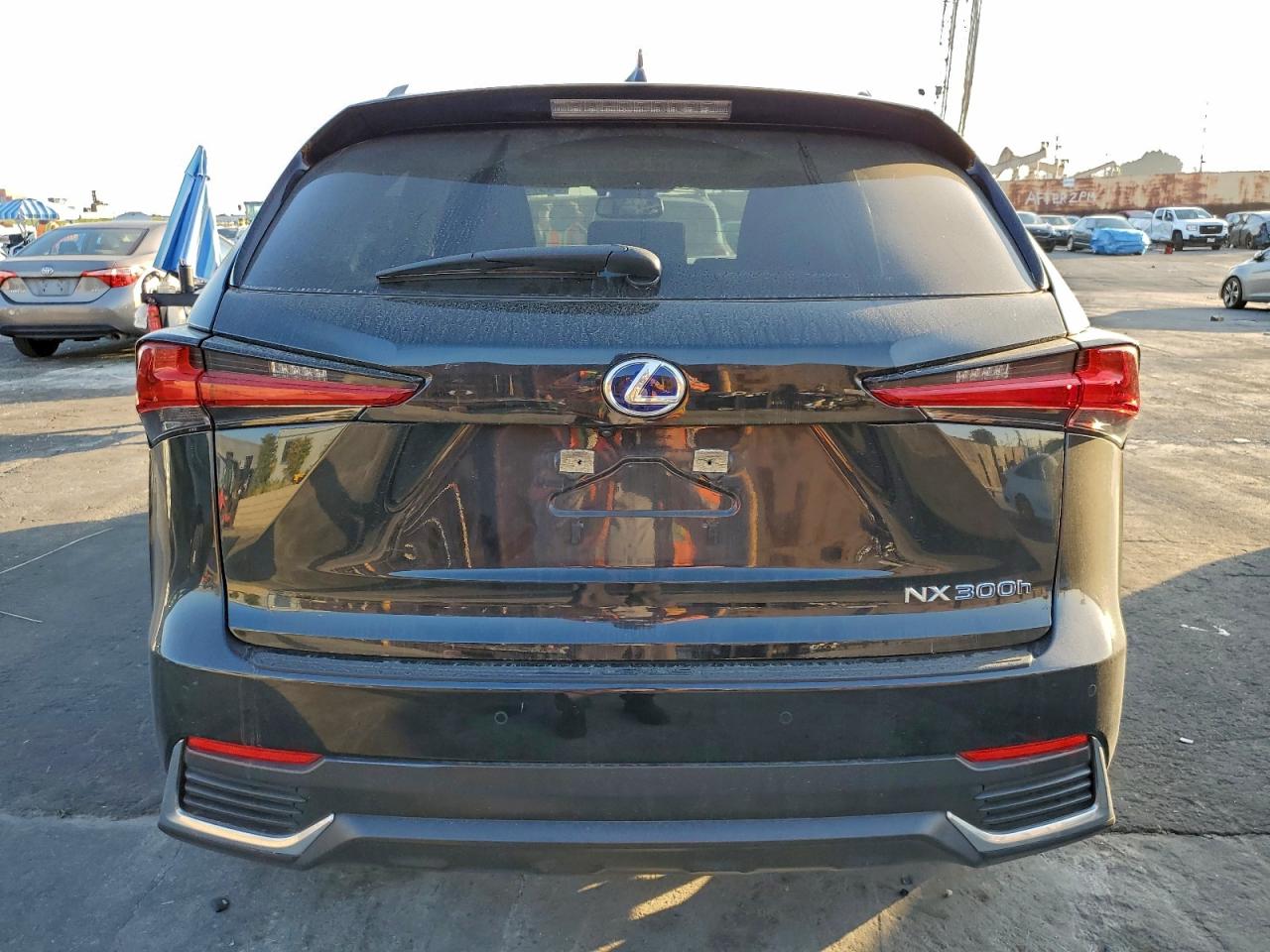 2020 Lexus Nx 300H VIN: JTJDJRDZXL5002161 Lot: 94979725