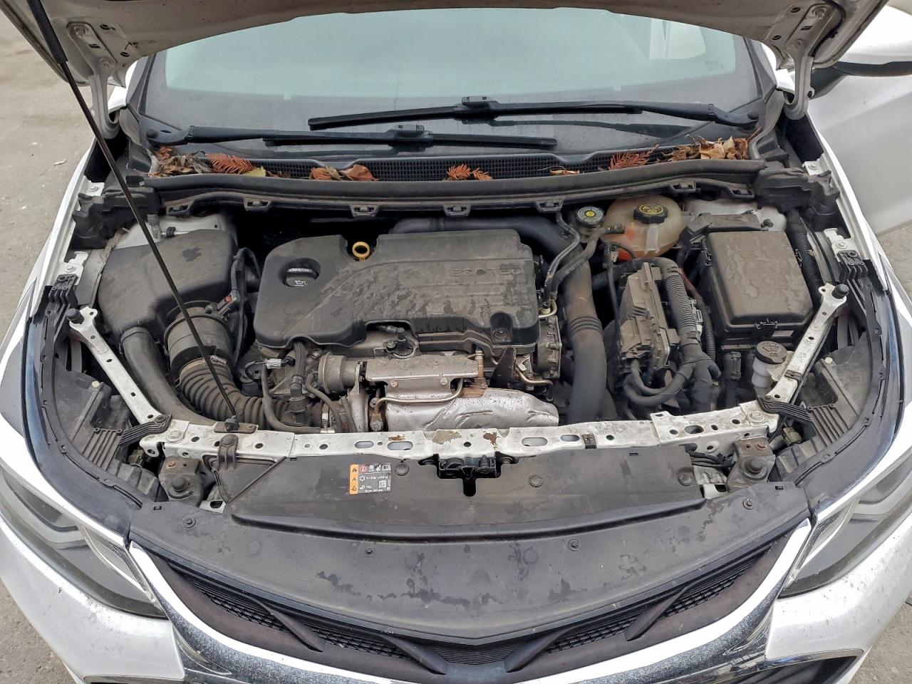 2019 Chevrolet Cruze Lt VIN: 1G1BE5SM1K7130623 Lot: 95026965