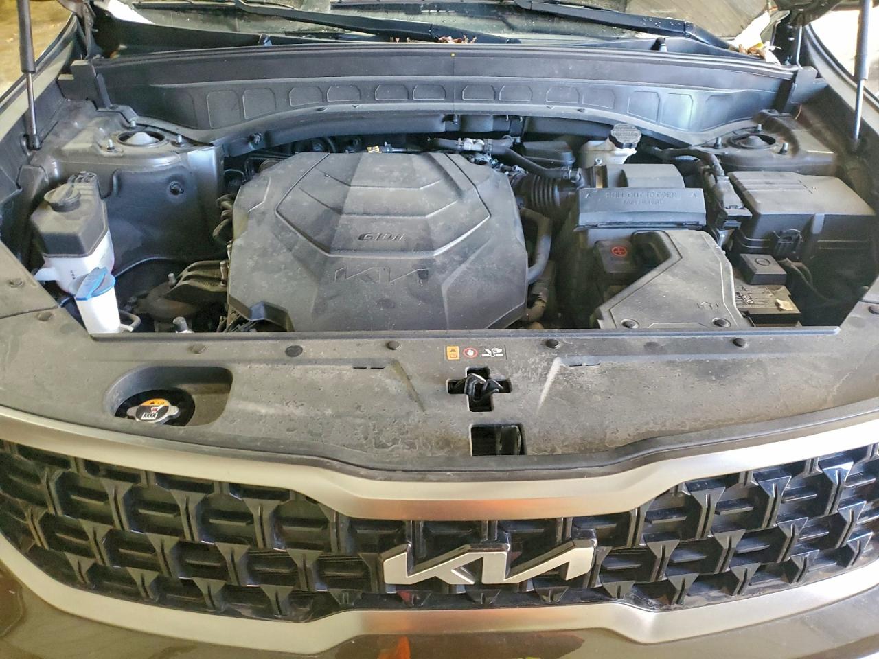 2023 Kia Telluride Ex VIN: 5XYP3DGC6PG346975 Lot: 93715685