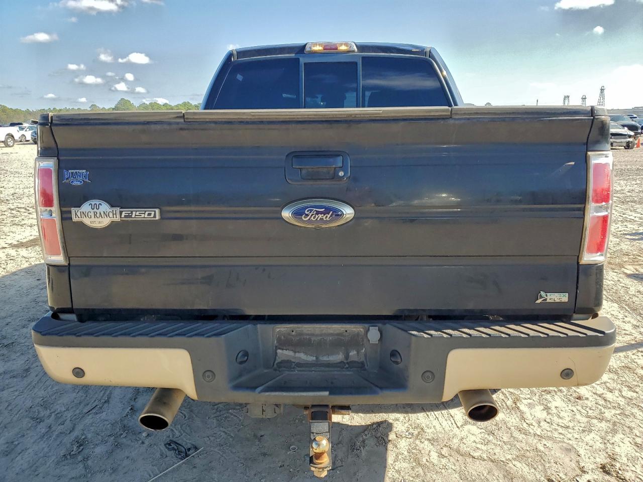 2010 Ford F150 Supercrew VIN: 1FTFW1CV3AKE53721 Lot: 95856505