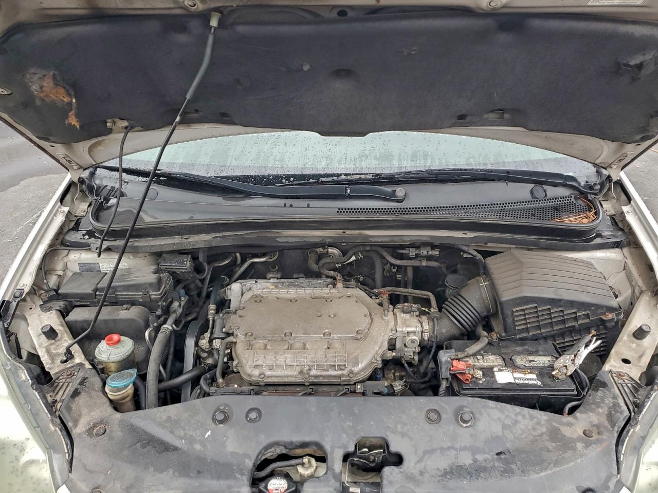 2005 Honda Odyssey Exl VIN: 5FNRL38795B069506 Lot: 95413305