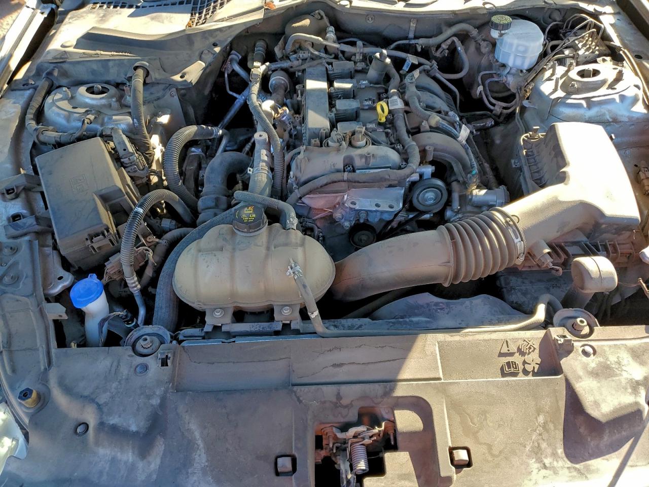 2021 Ford Mustang VIN: 1FA6P8TH7M5121788 Lot: 95686275