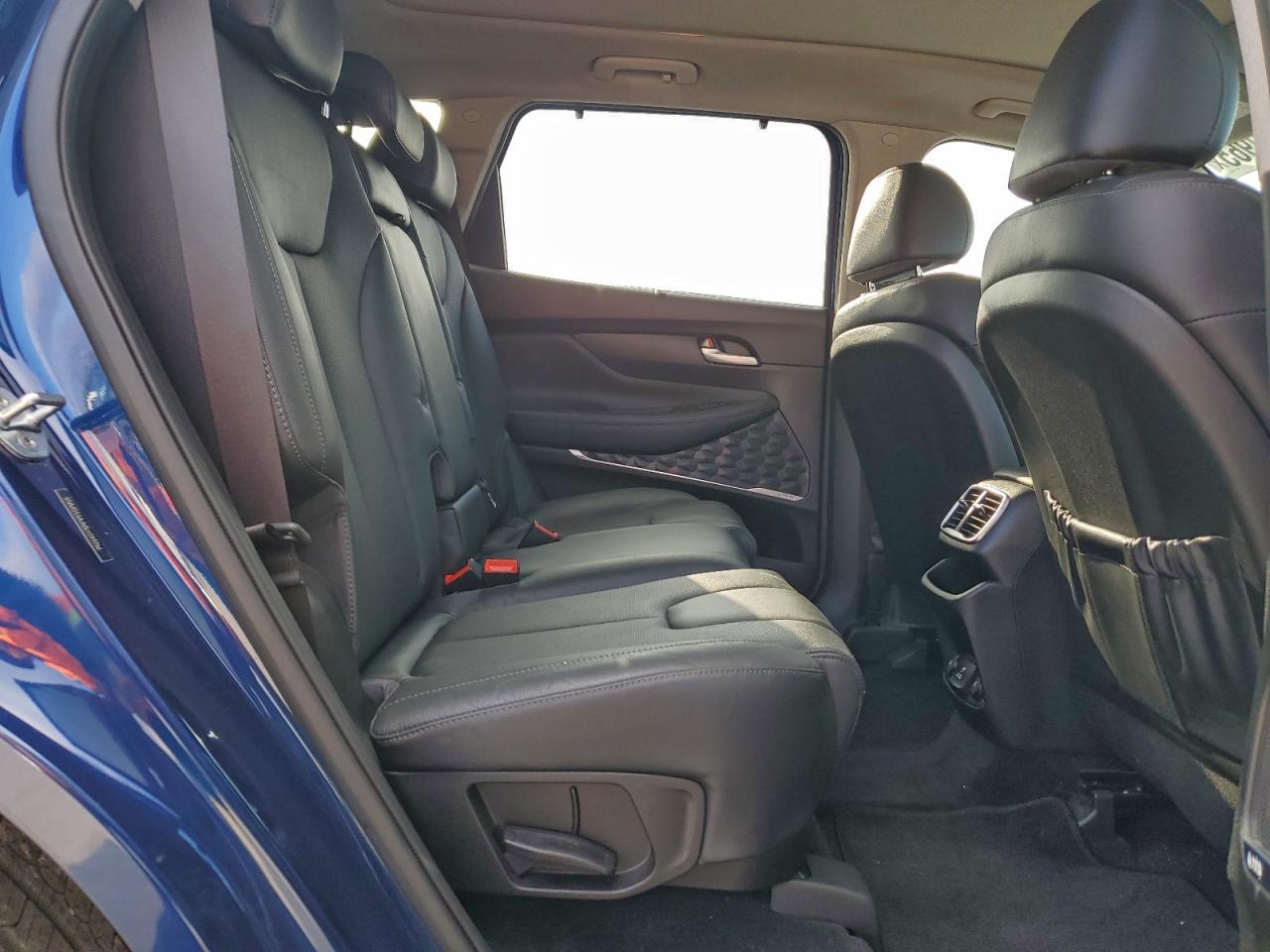 2020 Hyundai Santa Fe Limited VIN: 5NMS53AA0LH149256 Lot: 94119965