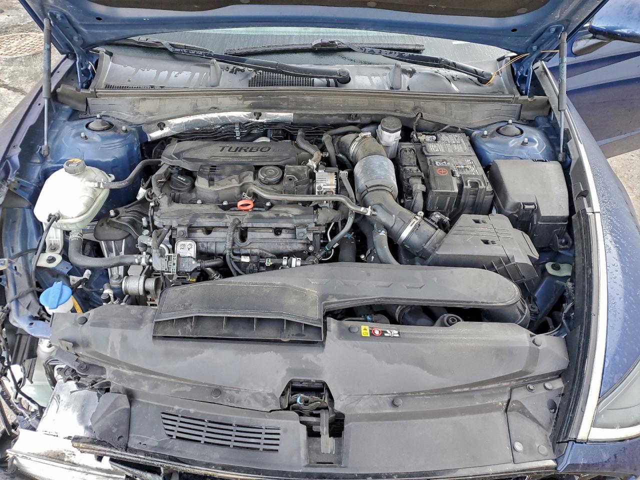 2020 Hyundai Sonata Limited VIN: 5NPEH4J22LH020604 Lot: 95132615