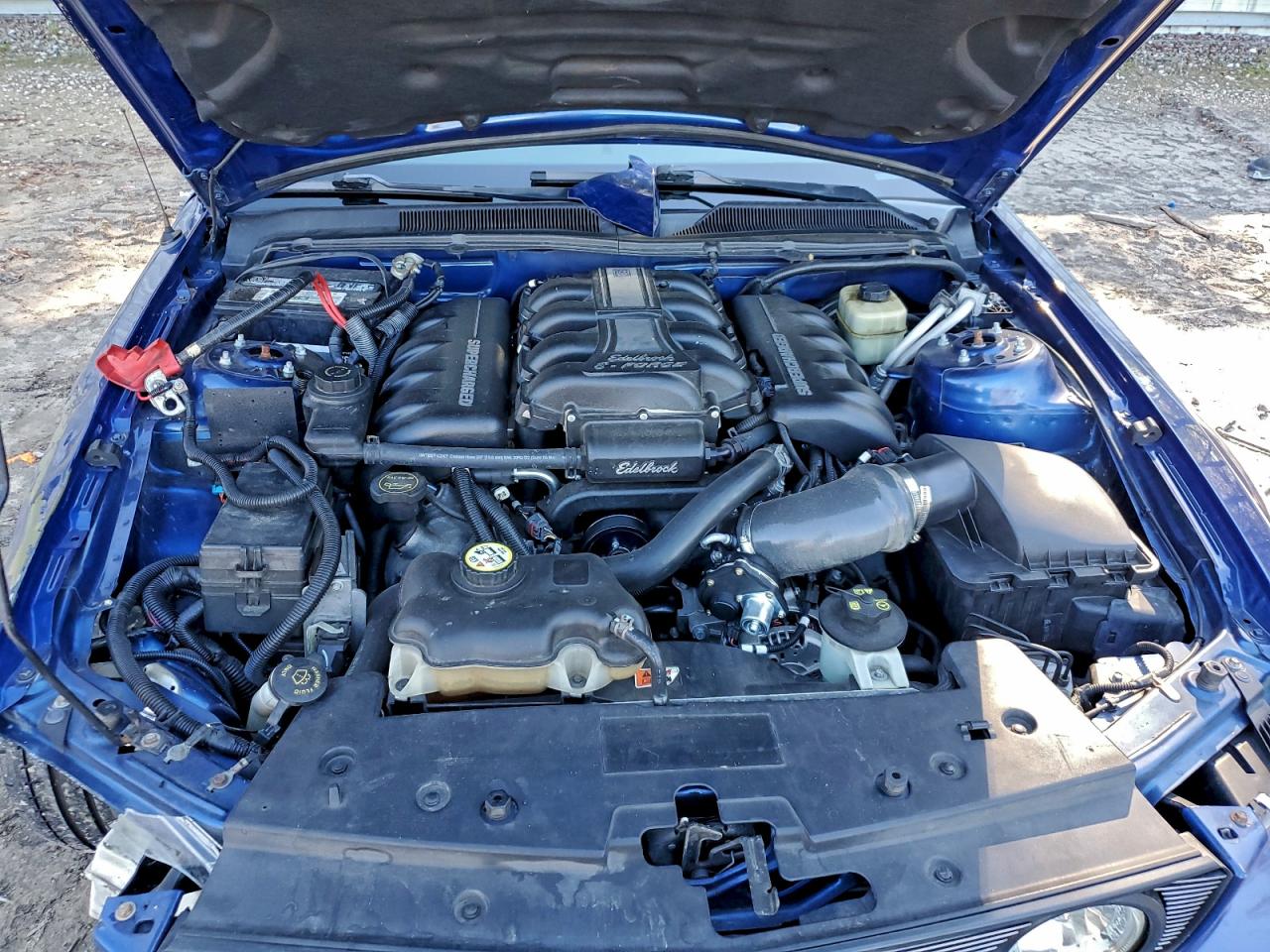 2008 Ford Mustang Gt VIN: 1ZVHT82H585178428 Lot: 96474535