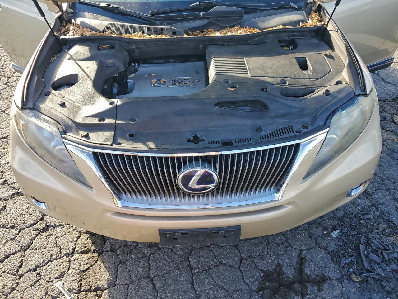 2010 Lexus Rx 450H VIN: JTJZB1BA2A2003482 Lot: 95083425