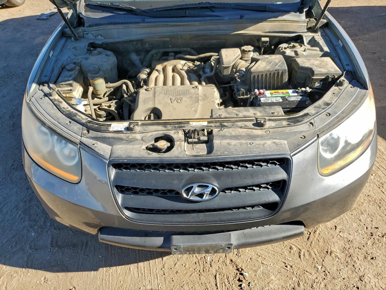 2009 Hyundai Santa Fe Gls VIN: 5NMSG13DX9H274389 Lot: 96847635