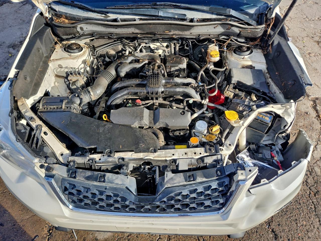 2015 Subaru Forester 2.5I Limited VIN: JF2SJAKC5FH841875 Lot: 96564575