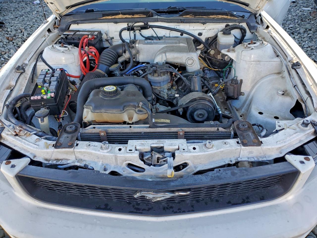 2005 Ford Mustang VIN: 1ZVFT80N555171278 Lot: 95345415