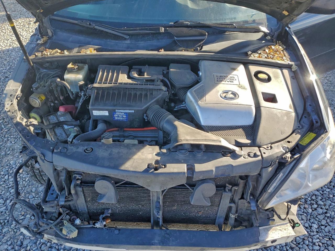 2008 Lexus Rx 400H VIN: JTJHW31U882058455 Lot: 96960545