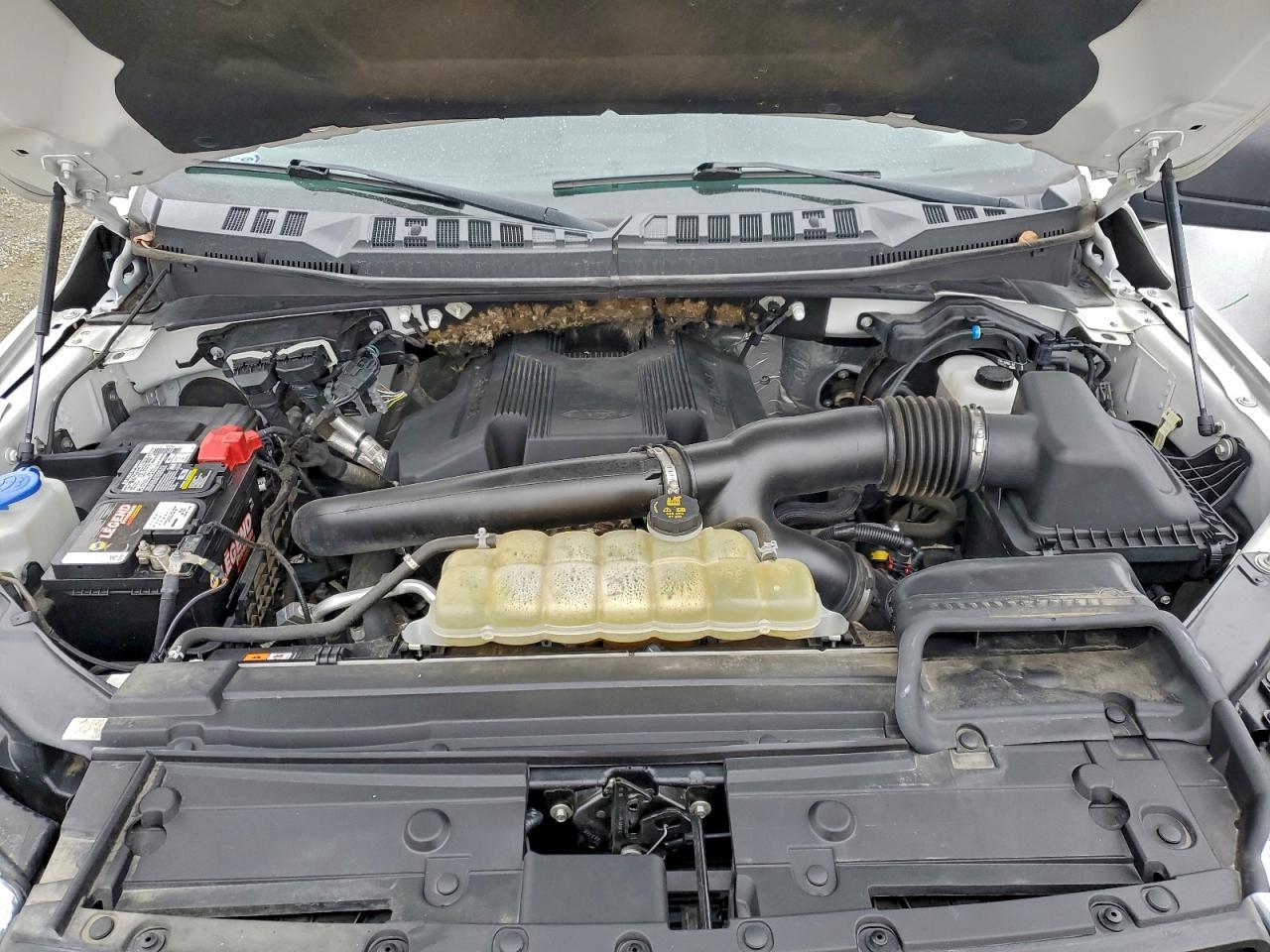 2019 Ford F150 Supercrew VIN: 1FTEW1E44KKD82868 Lot: 97601355