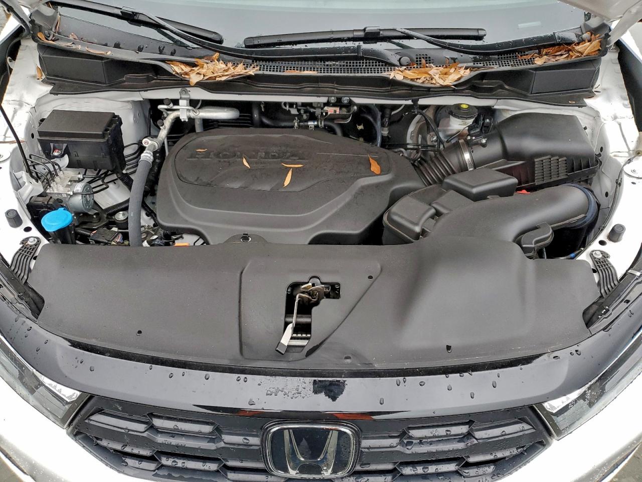 2025 Honda Odyssey Sport-L VIN: 5FNRL6H7XSB021512 Lot: 95002835