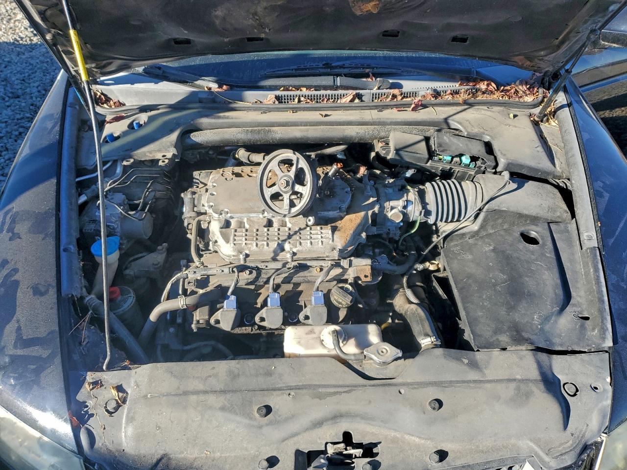 2008 Acura Tl VIN: 19UUA66208A053542 Lot: 96139935